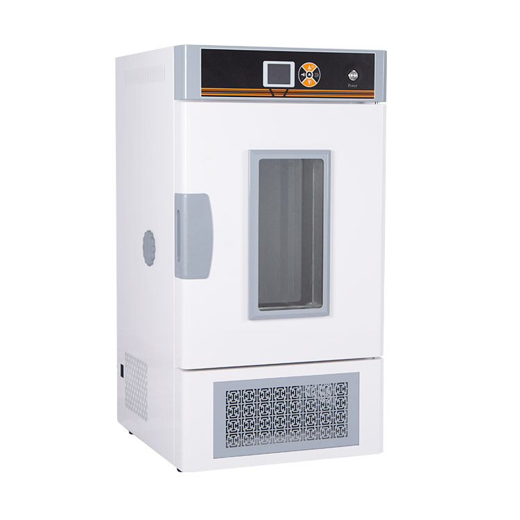 生化培养箱（常规款）