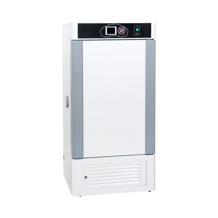 霉菌培养箱（升级款）