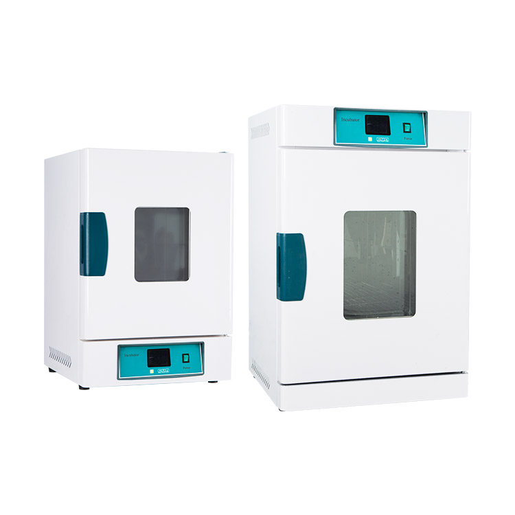 立式电热恒温培养箱（常规款）
