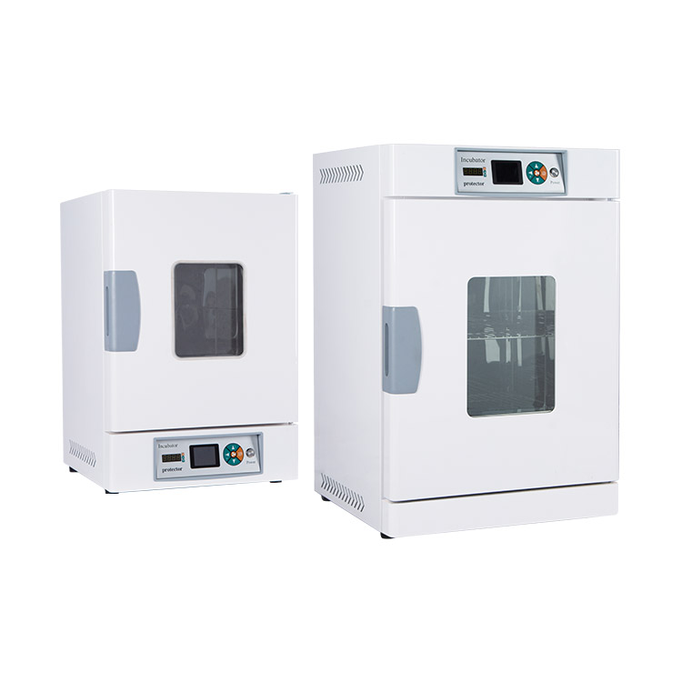 立式电热恒温培养箱（升级款）