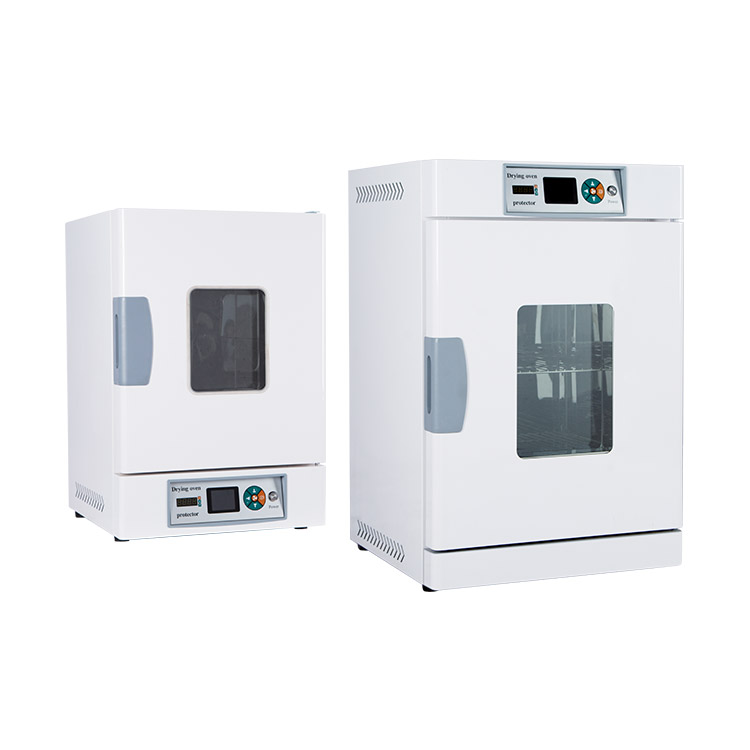 立式电热鼓风干燥箱（升级款）